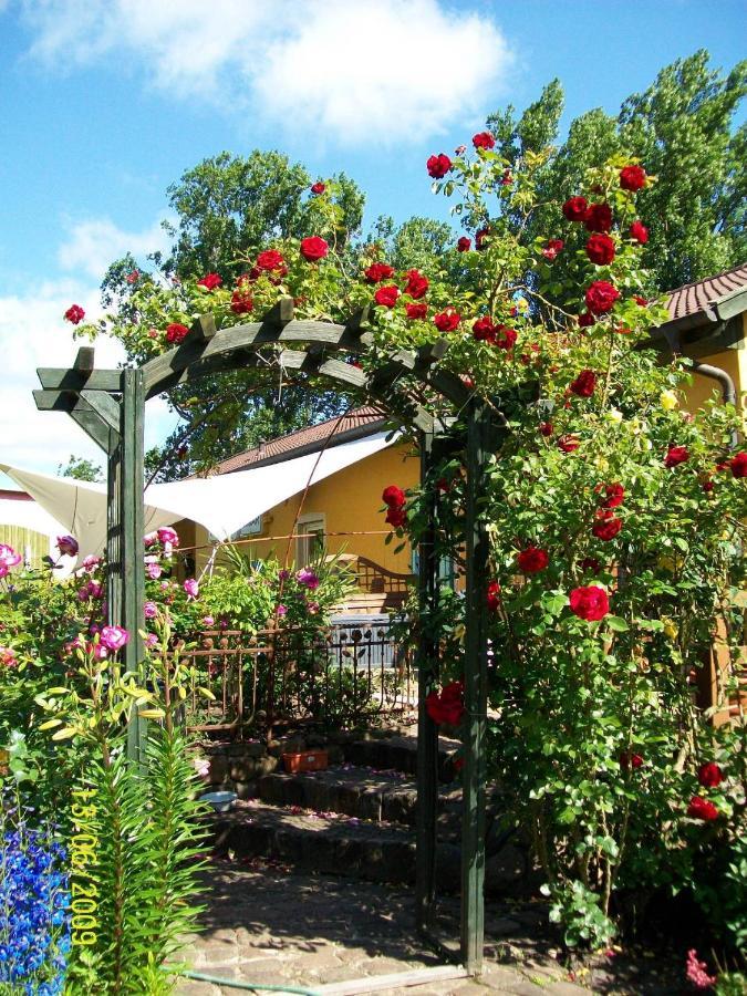 Barrel -Schlafen Im Fass Otel Gorleben Dış mekan fotoğraf