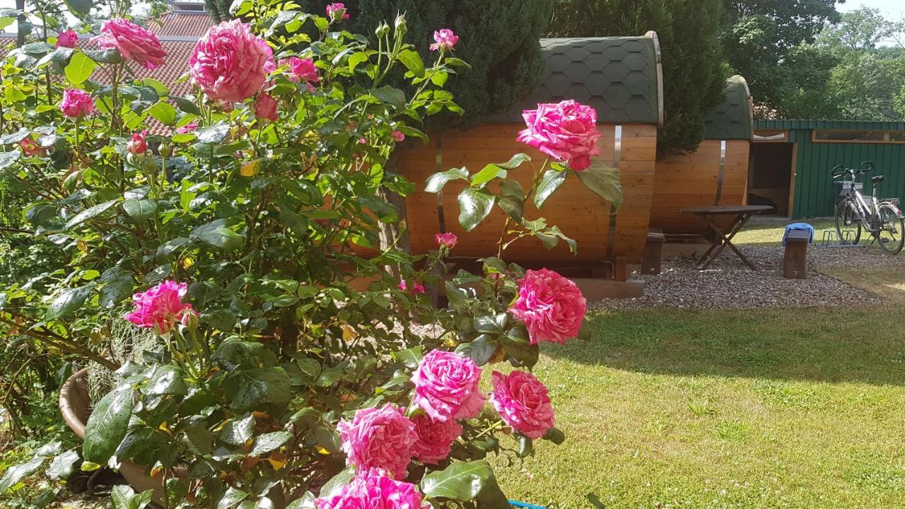 Barrel -Schlafen Im Fass Otel Gorleben Dış mekan fotoğraf